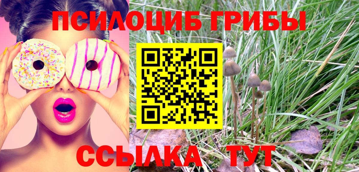 Галлюциногенные грибы мицелий Ликино-Дулёво